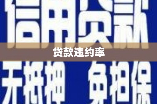陕西贷款违约率