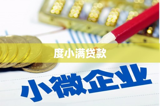 陕西度小满贷款