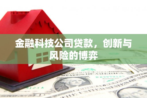 陕西金融科技公司贷款，创新与风险的博弈