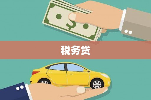 陕西税务贷
