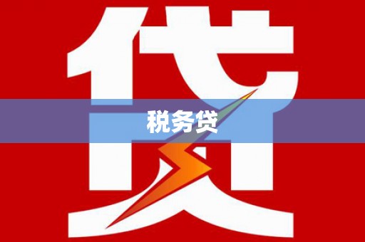 陕西税务贷
