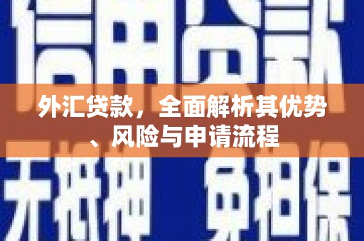 陕西外汇贷款，全面解析其优势、风险与申请流程
