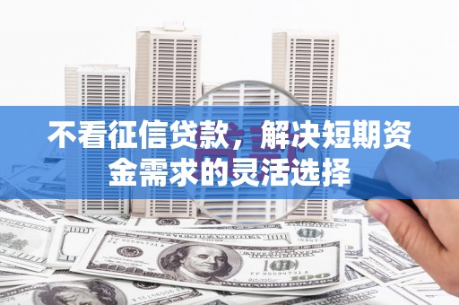陕西不看征信贷款，解决短期资金需求的灵活选择