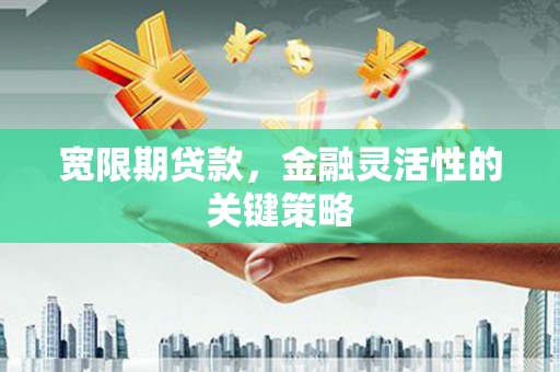 陕西宽限期贷款，金融灵活性的关键策略