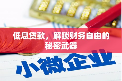 陕西低息贷款，解锁财务自由的秘密武器