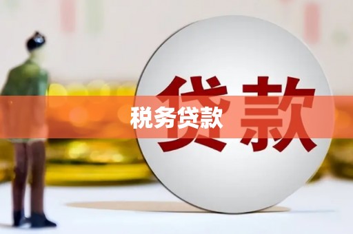 陕西税务贷款