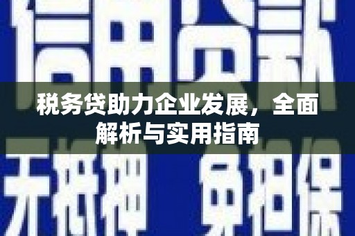 陕西税务贷助力企业发展，全面解析与实用指南