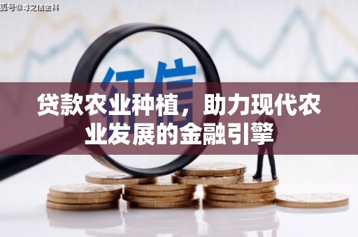 陕西贷款农业种植，助力现代农业发展的金融引擎