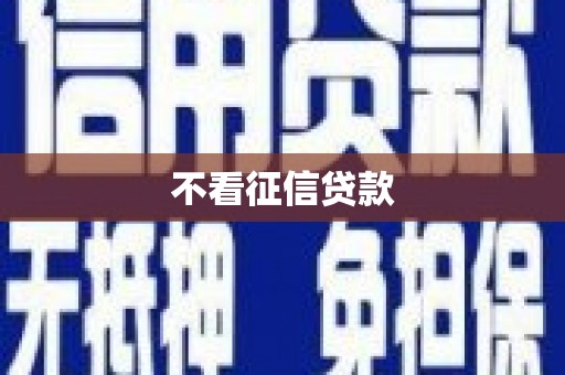 陕西不看征信贷款