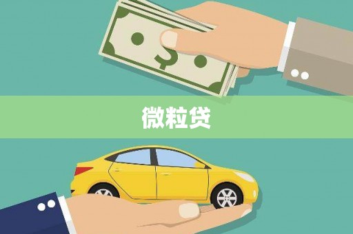 陕西微粒贷