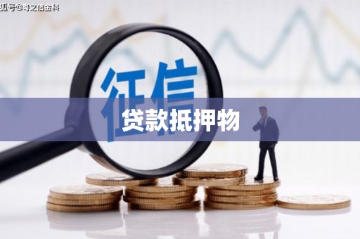 陕西贷款抵押物