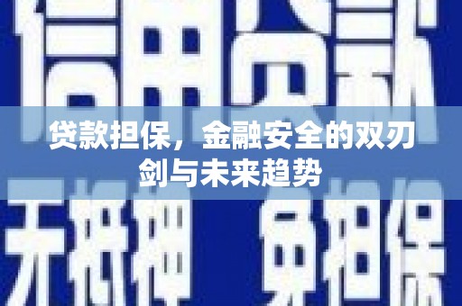 陕西贷款担保，金融安全的双刃剑与未来趋势