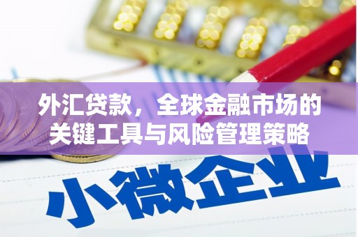 陕西外汇贷款，全球金融市场的关键工具与风险管理策略