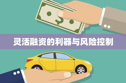 陕西灵活融资的利器与风险控制