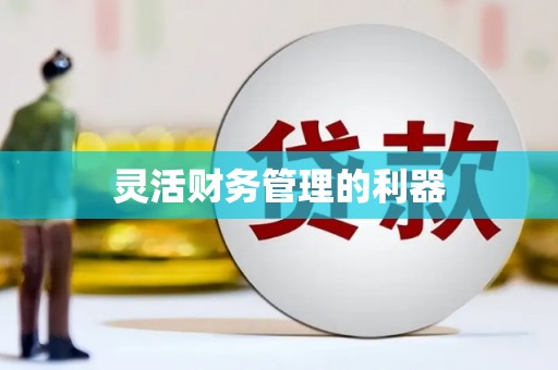 陕西灵活财务管理的利器