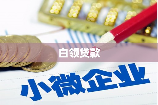 陕西白领贷款