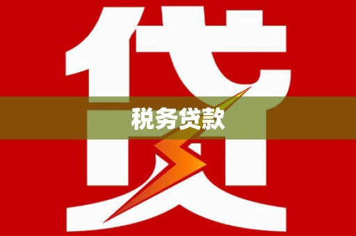 陕西税务贷款