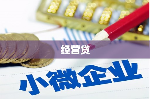 陕西经营贷