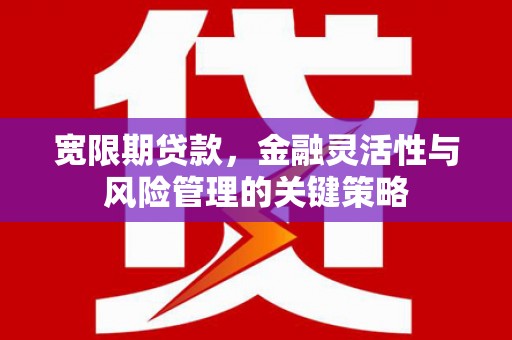 陕西宽限期贷款，金融灵活性与风险管理的关键策略
