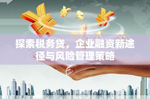 陕西探索税务贷，企业融资新途径与风险管理策略