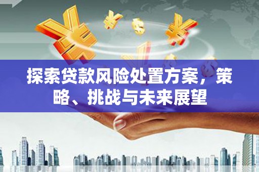 陕西探索贷款风险处置方案，策略、挑战与未来展望