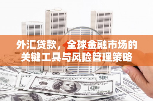 陕西外汇贷款，全球金融市场的关键工具与风险管理策略