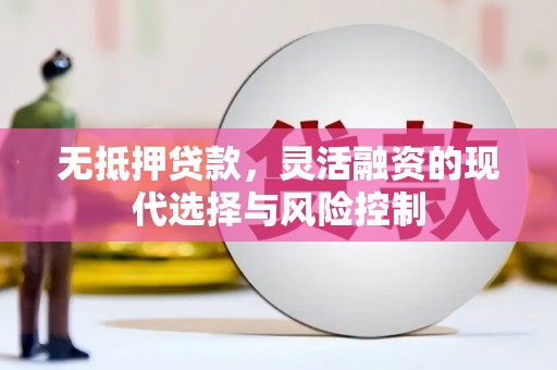 陕西无抵押贷款，灵活融资的现代选择与风险控制