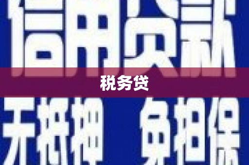 陕西税务贷