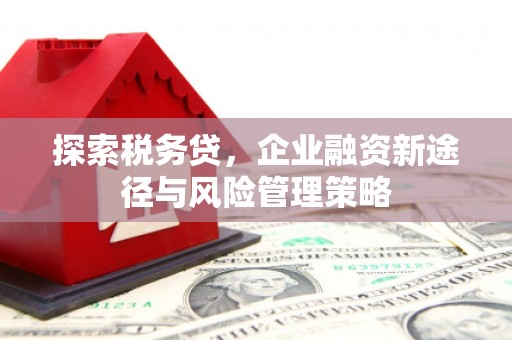 陕西探索税务贷，企业融资新途径与风险管理策略