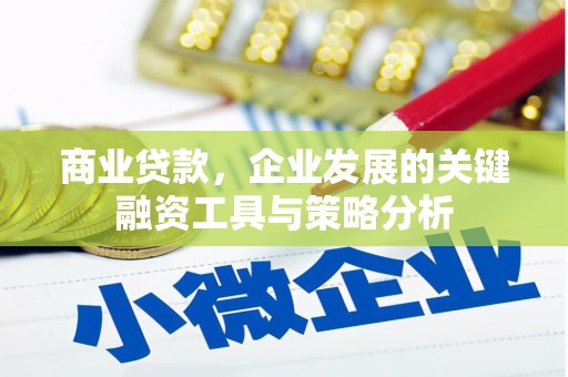 陕西商业贷款，企业发展的关键融资工具与策略分析