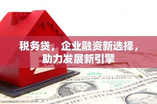 陕西税务贷，企业融资新选择，助力发展新引擎
