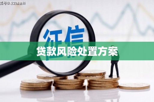 陕西贷款风险处置方案