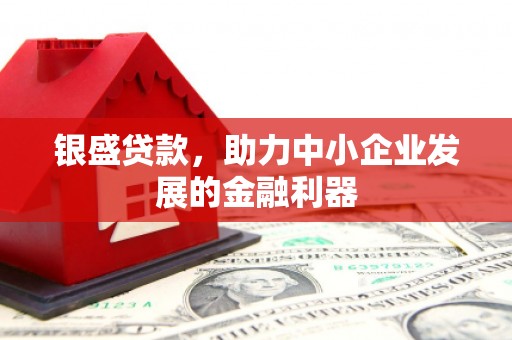 陕西银盛贷款，助力中小企业发展的金融利器