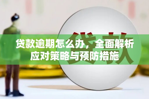 陕西贷款逾期怎么办，全面解析应对策略与预防措施
