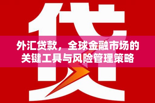 陕西外汇贷款，全球金融市场的关键工具与风险管理策略