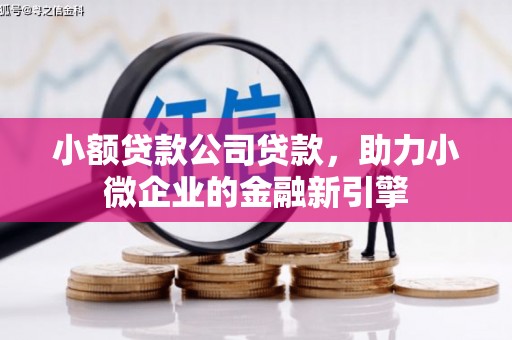陕西小额贷款公司贷款，助力小微企业的金融新引擎