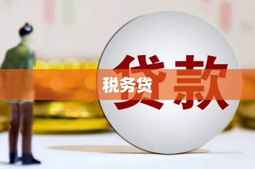 陕西税务贷