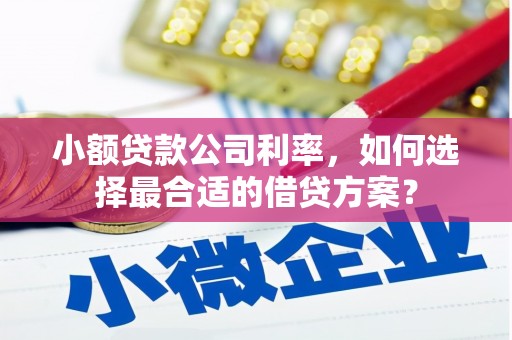 陕西小额贷款公司利率，如何选择最合适的借贷方案？