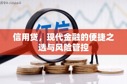 陕西信用贷，现代金融的便捷之选与风险管控