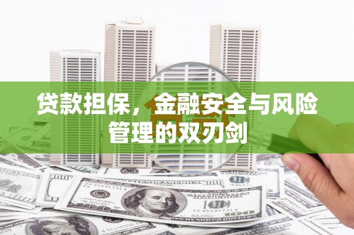 陕西贷款担保，金融安全与风险管理的双刃剑