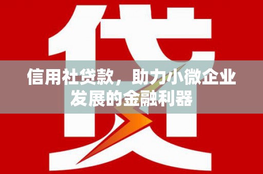 陕西信用社贷款，助力小微企业发展的金融利器