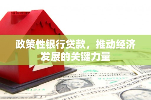 陕西政策性银行贷款，推动经济发展的关键力量