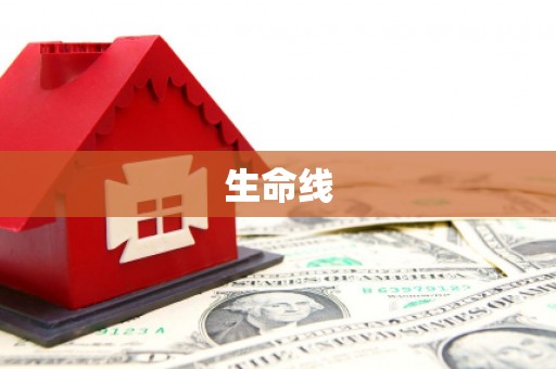 陕西生命线