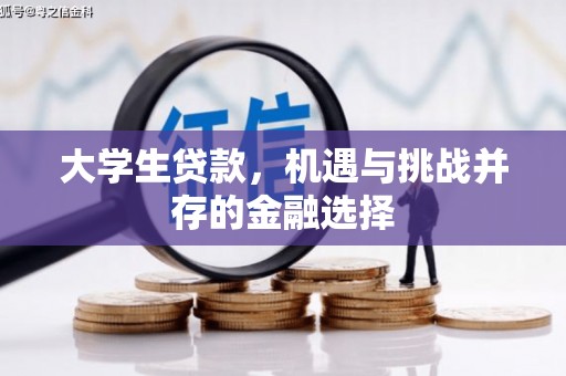 陕西大学生贷款，机遇与挑战并存的金融选择