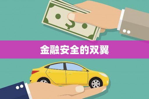 陕西金融安全的双翼