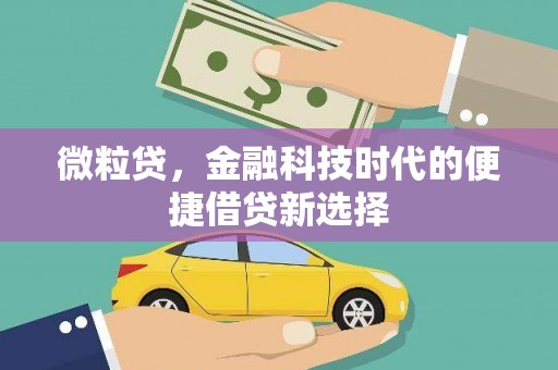 陕西微粒贷，金融科技时代的便捷借贷新选择