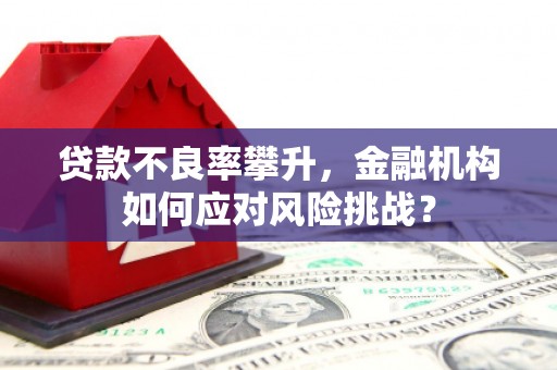 陕西贷款不良率攀升，金融机构如何应对风险挑战？