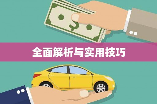 陕西全面解析与实用技巧