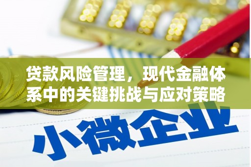 陕西贷款风险管理，现代金融体系中的关键挑战与应对策略