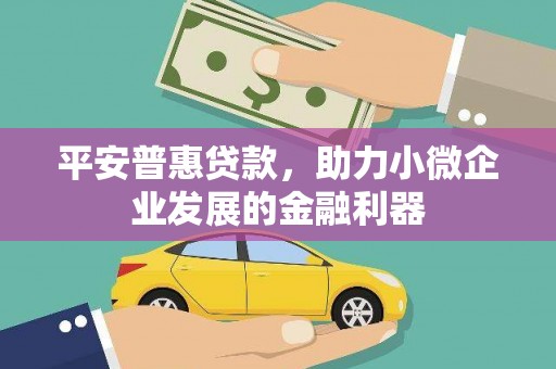 陕西平安普惠贷款，助力小微企业发展的金融利器